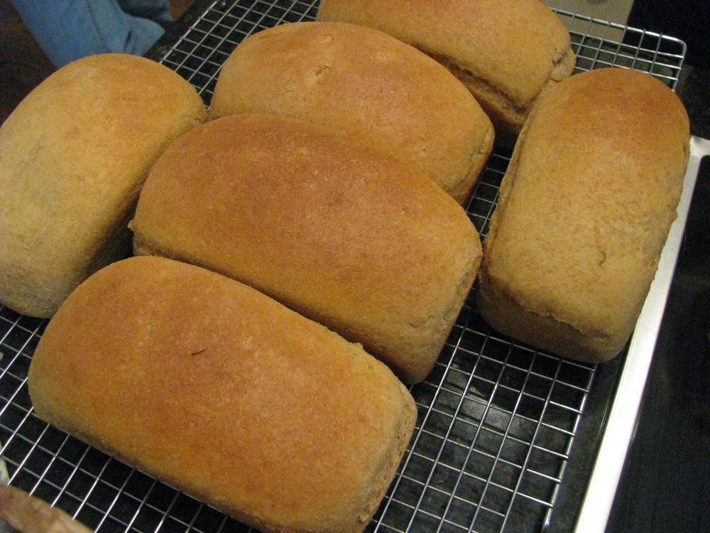 Bread Baking 101