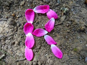 Learning Letters in Nature