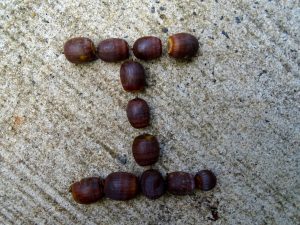 Learning Letters in Nature